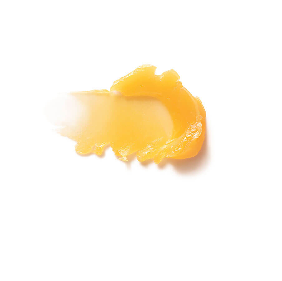Lip Care Stick 4.9gm - Image 2